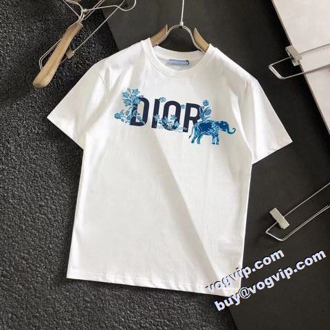 2022ランキング1位 ディオール DIOR ディオールブランド 偽物 通販 半袖Tシャツ 2色可選