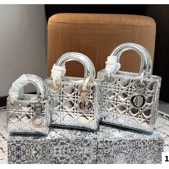 2025年モデル入荷 ディオール DIOR ブランドコピー 日本未入荷モデル WBAGDIOR042 ハンドバッグ 2色可選