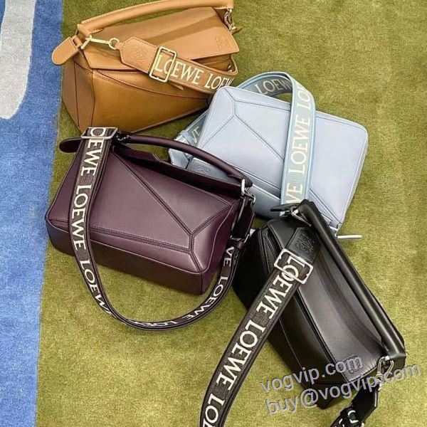 ショルダーバッグ ロエベ コピー 2025年モデル入荷 WBAGLOE003 4色可選 存在感のある