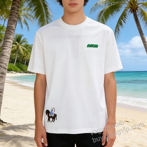 2026お買い得高品質 ディオール コピー ブランド NXZDIOR099 半袖Tシャツ 2色可選 ずっと人気?