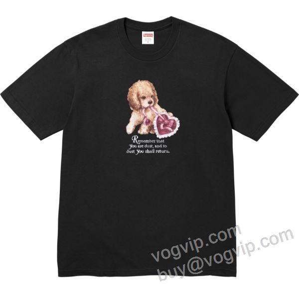 半袖Tシャツ シュプリームブランドコピー 大好評? SUPREME DUST TEE 2026超人気新品 SUPNXZ011 4色可選