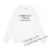 BURBERRYブランドコピー 専門通販店 激安大特価2023 プルオーバーパーカー 2色可選バーバリーコピー