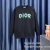 活用できるアイテム ディオールブランドコピー 2023最新入荷 DIOR プルオーバーパーカー 2色可選 春 薄手 登山ウェア 秋新作