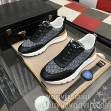 売れ筋！ DIOR 2024年...