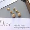 2025人気定番定番 ディオール DIOR ピアス イヤリング スーパーコピー n級品 利便性に優れ