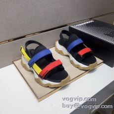 2025年モデル入荷 ディース...