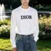 長袖Tシャツ 絶大な人気を誇る 4色可選 ディオール最高N級ブランドコピー 2026品質保証新作登場 CTSDIOR028