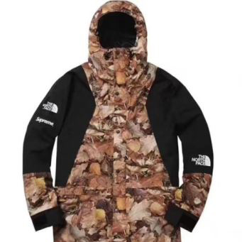 Supreme x TNF Mountain Light Jacket 2022 高品質 SUPREMEコピー ダスター コート シュプリーム コピー