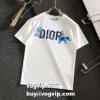 2022ランキング1位 ディオール DIOR ディオールブランド 偽物 通販 半袖Tシャツ 2色可選