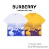 機能性も備えたアイテム バーバリー BURBERRY 半袖Tシャツコピーブランド Tシャツ メンズ 半袖 シンプル 大きいサイズ 2024春夏モデル 2色可選