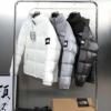2年以上連続１位獲得 ザノースフェイス コピー 2024品質保証高品質 ダウンジャケット 3色可選 軽くて暖かい