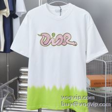 売れ筋！ディオール DIOR ...