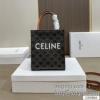 セリーヌ CELINE 超人気美品◆ ハンドバッグ 偽物ブランド 2025高級品 通販 WBAGCEL019 ショルダーバッグ