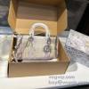 DIOR 偽物ブランド 2025春夏季超人気 WBAGDIOR049 洗練を十分に演出する ディオール ハンドバッグ