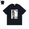 高級品 通販 THE NORTH FACE x SUPREME TEE 2025 シュプリーム SUPREMEスーパーコピー SUPNXZ024 半袖Tシャツ 2色可選