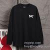 長袖Tシャツ 2025超激得高品質 アークテリクス コピー ブランド スタイリッシュな印象 CTSARC025 2色可選