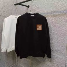 プルオーバーパーカー 2色可選 2025超激得高品質 ロエベ LOEWE WTLOE035 人気のスーパーブランドコピー品質保証