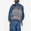 リュック、バックパック 日本未入荷モデル メンズバッグ ディオール DIORブランドコピー 2026爆買い格安 NBAGDIOR044 2色可選
